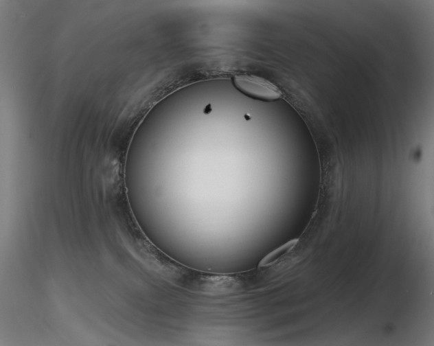 X0000116770087200912171543