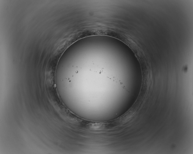 X0000116770088200912171543