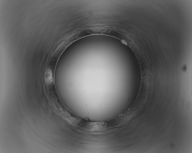 X0000116770089200912171543