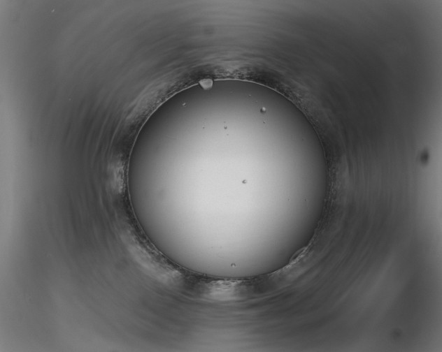 X0000116770090200912171543