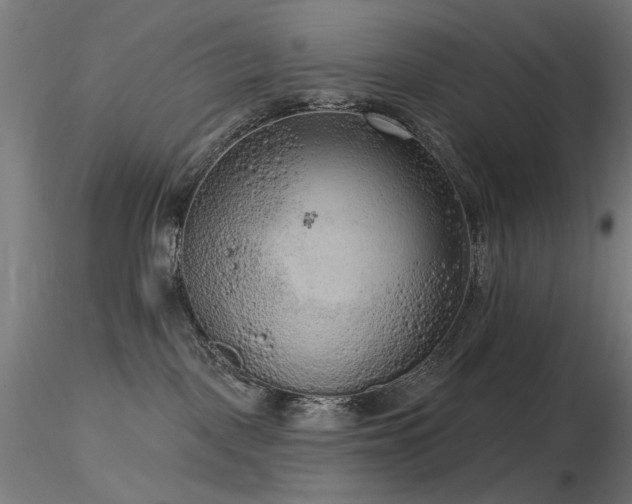 X0000116770093200912171543