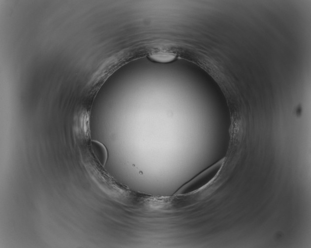 X0000116770094200912171543