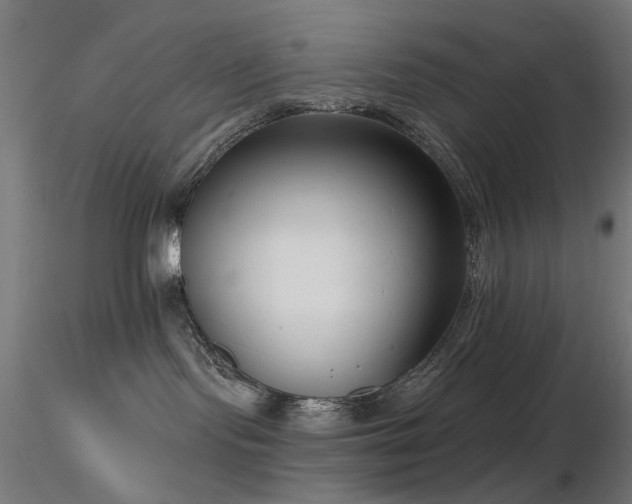 X0000116770095200912171543
