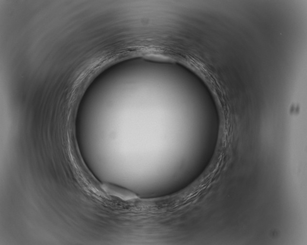 X0000116770097200912171543