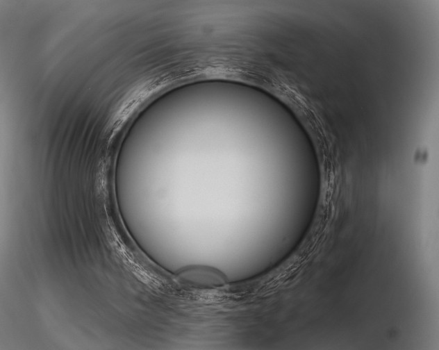 X0000116770098200912171543