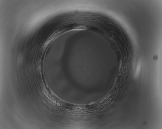 X0000116770099200912171543