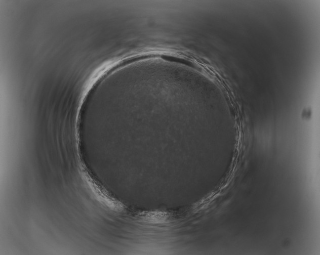 X0000116770104200912171543