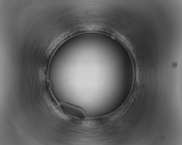 X0000116770105200912171543