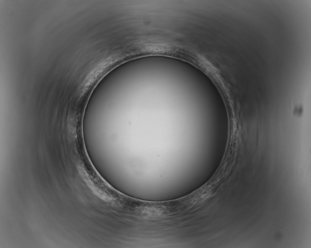 X0000116770106200912171543