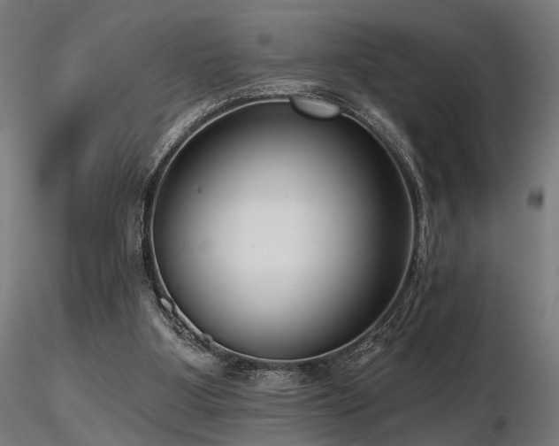 X0000116770107200912171542