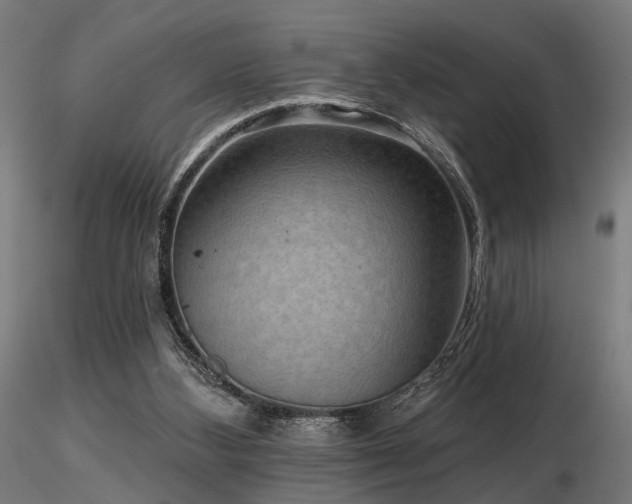 X0000116770108200912171542