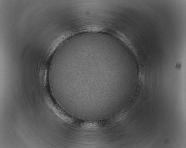 X0000116770110200912171542