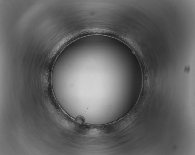 X0000116770111200912171542