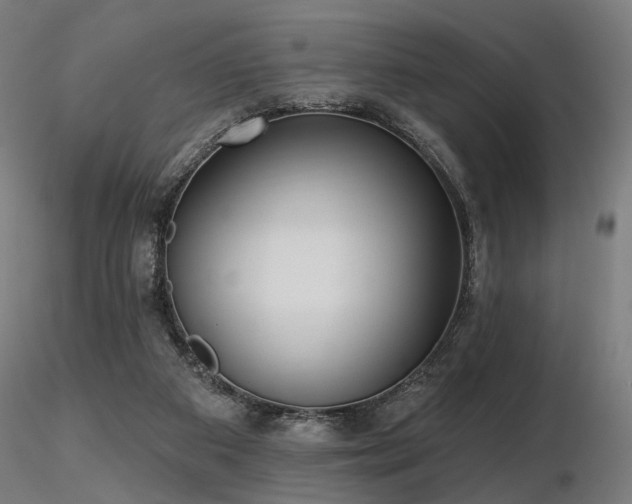 X0000116770113200912171542