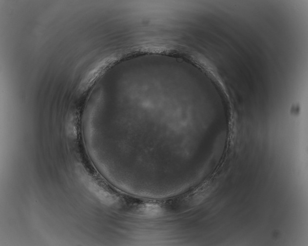 X0000116770114200912171542