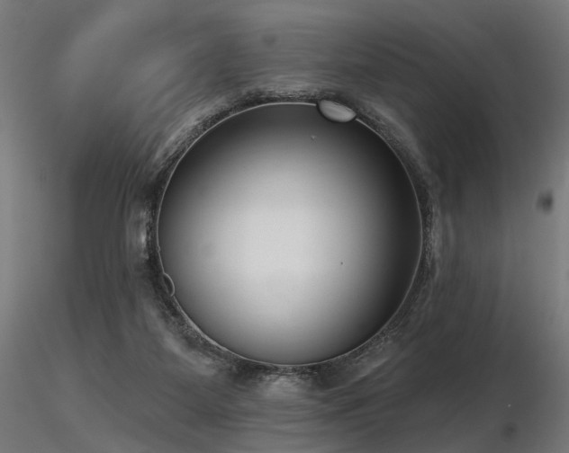 X0000116770115200912171542