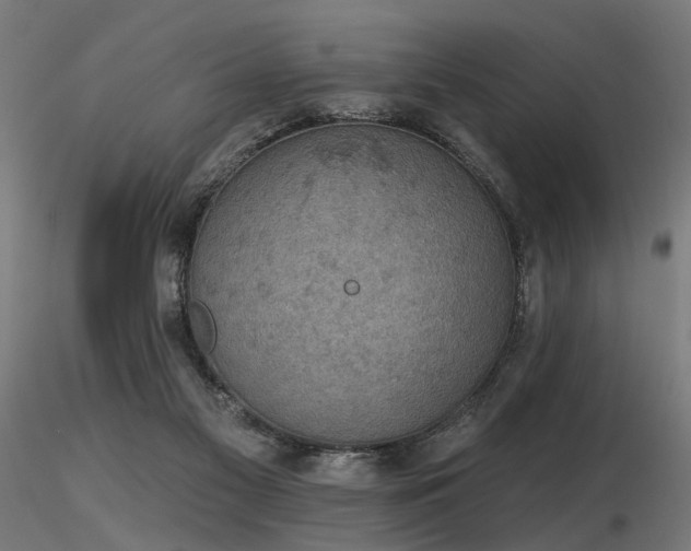 X0000116770117200912171542