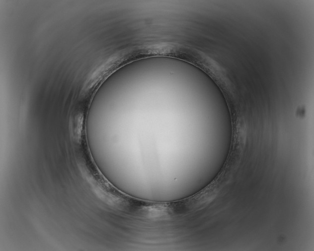 X0000116770118200912171542