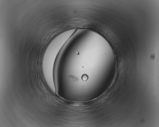 X0000116770121200912171542