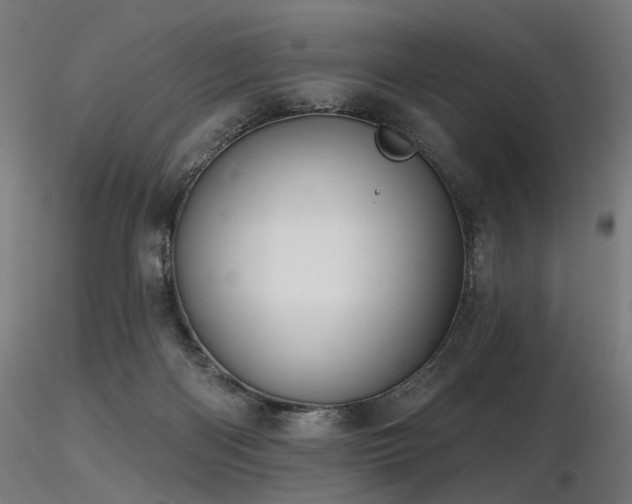 X0000116770122200912171542