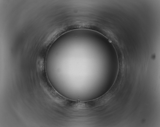 X0000116770123200912171542