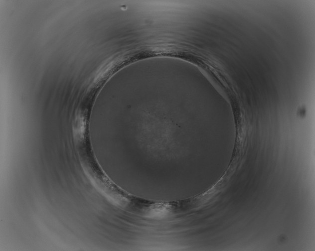 X0000116770124200912171542