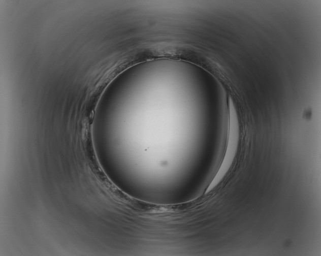 X0000116770125200912171542