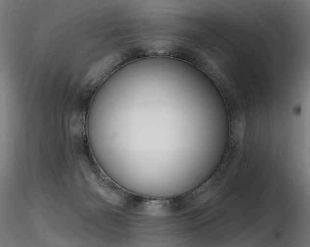 X0000116770126200912171542