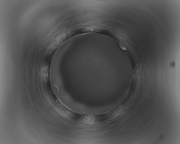 X0000116770127200912171542