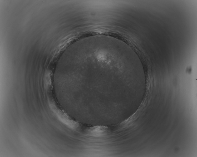 X0000116770128200912171542