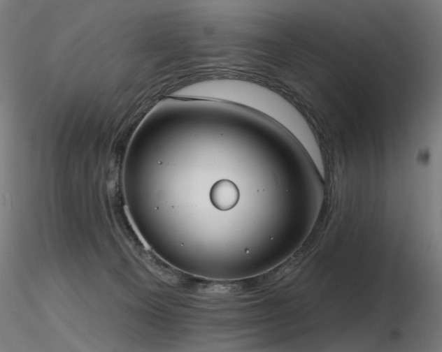X0000116770129200912171542