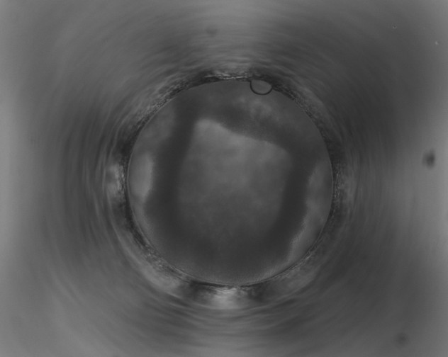 X0000116770130200912171542