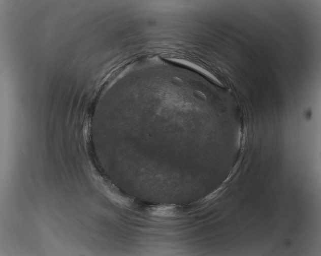 X0000116770132200912171542
