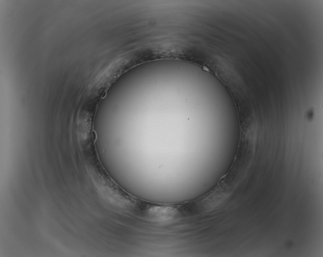 X0000116770133200912171542
