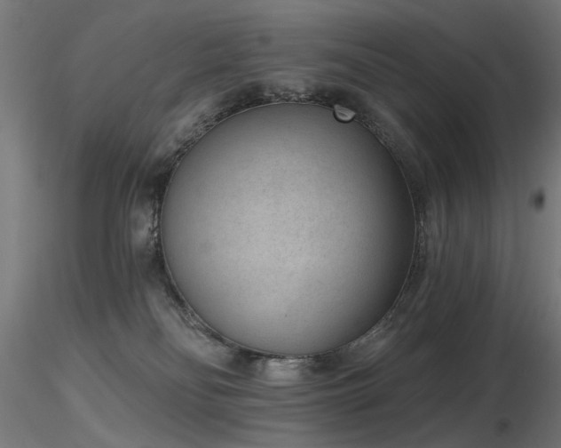 X0000116770134200912171542
