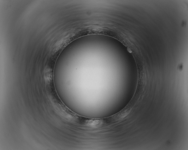 X0000116770135200912171542