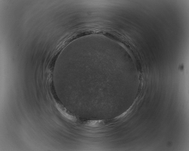 X0000116770136200912171542