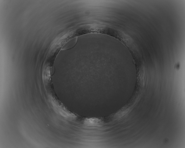 X0000116770137200912171542
