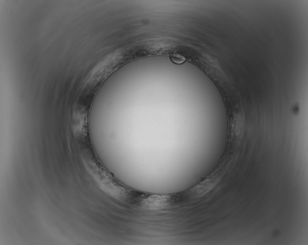 X0000116770138200912171542