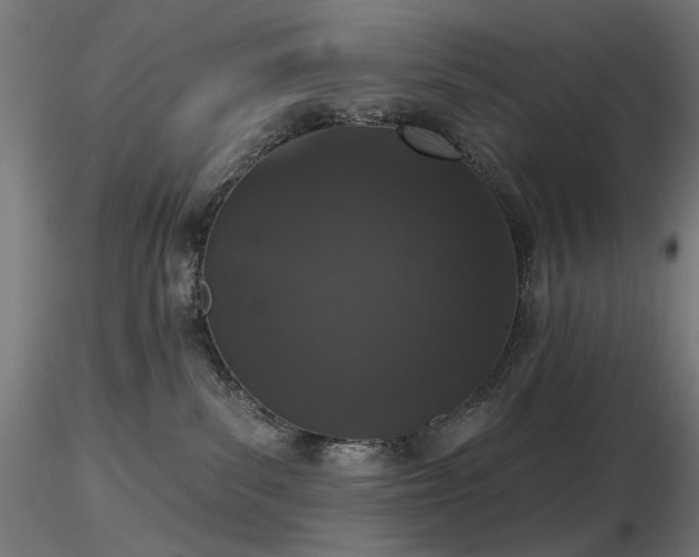 X0000116770139200912171542