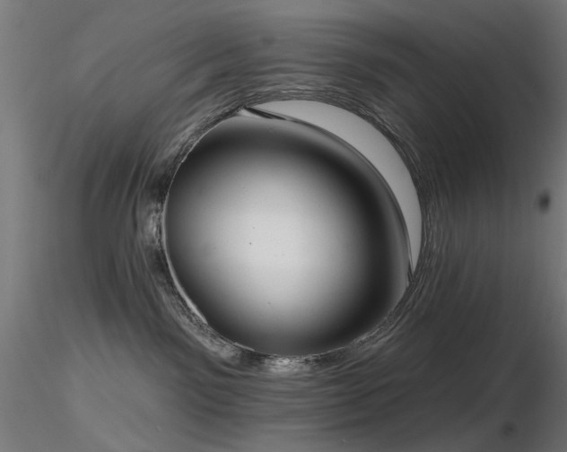 X0000116770141200912171542