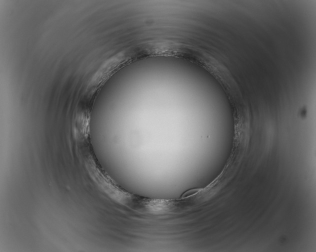 X0000116770142200912171542