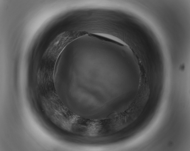 X0000116770143200912171542