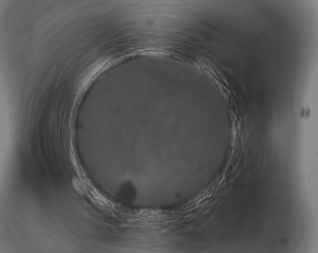X0000116770145200912171541