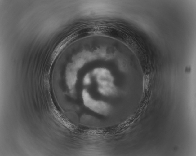 X0000116770147200912171541