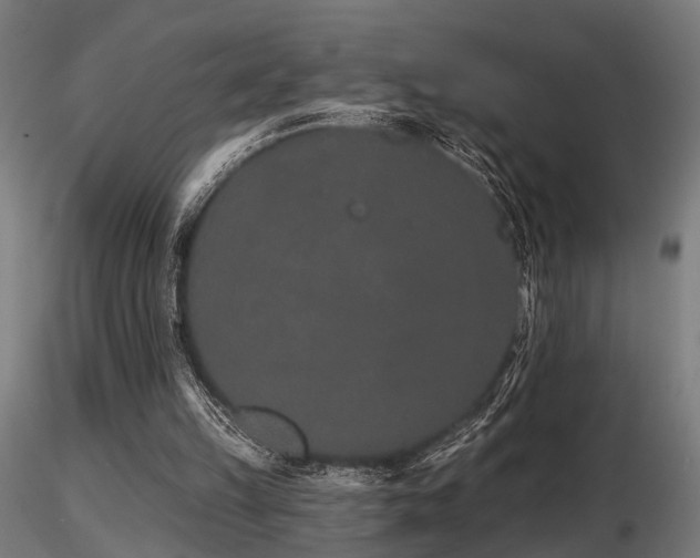 X0000116770149200912171541