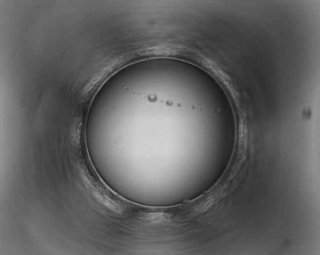 X0000116770153200912171541