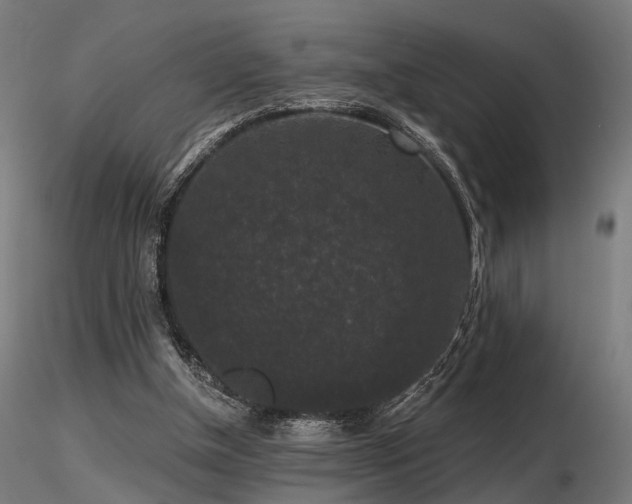 X0000116770154200912171541