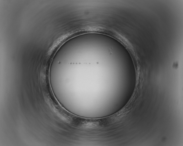 X0000116770155200912171541
