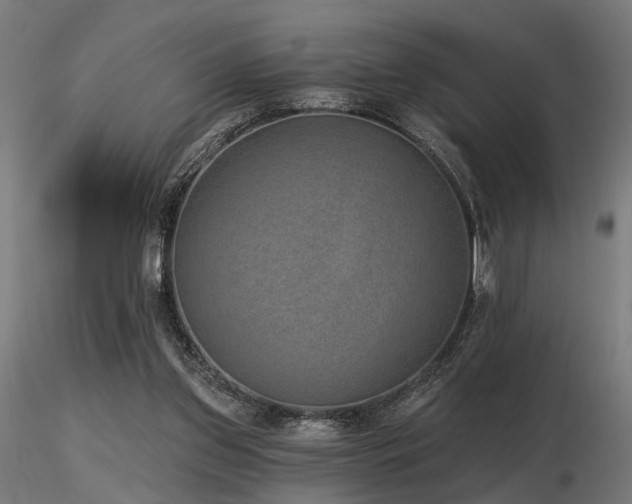X0000116770157200912171541